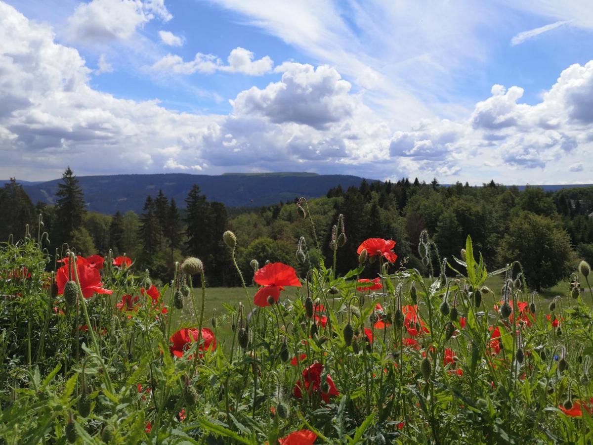 Hotel Schoene Aussicht Masserberg Bagian luar foto