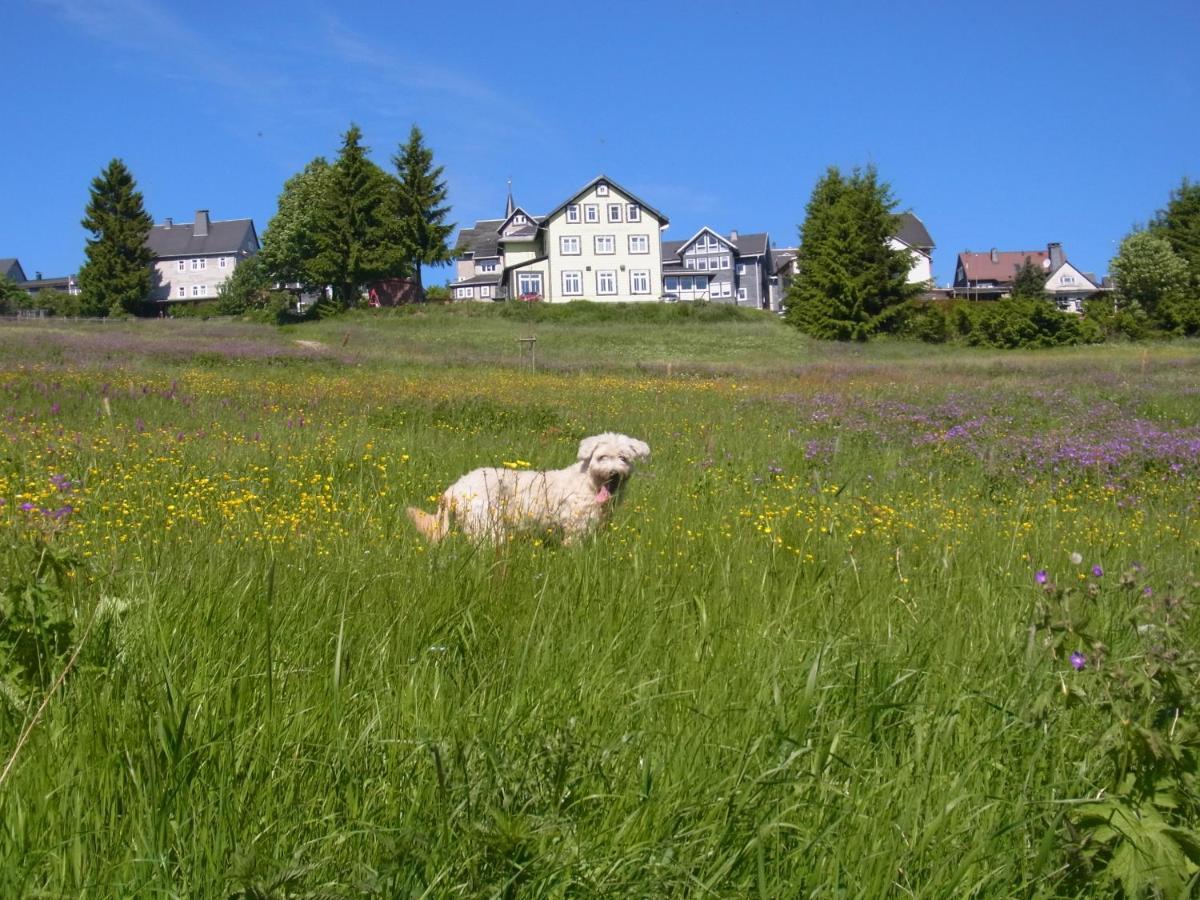 Hotel Schoene Aussicht Masserberg Bagian luar foto