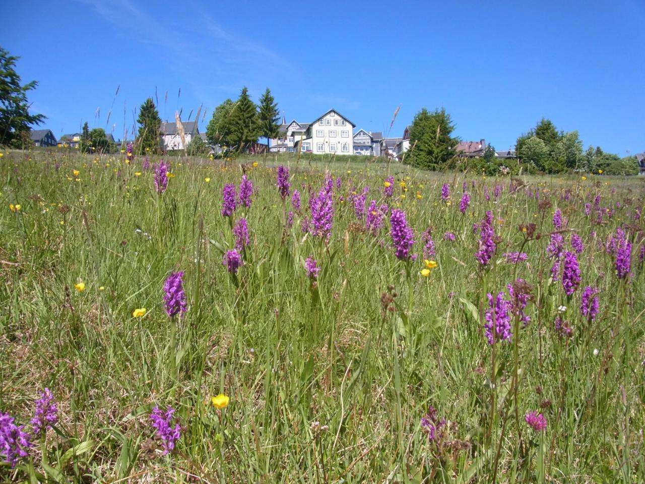 Hotel Schoene Aussicht Masserberg Bagian luar foto
